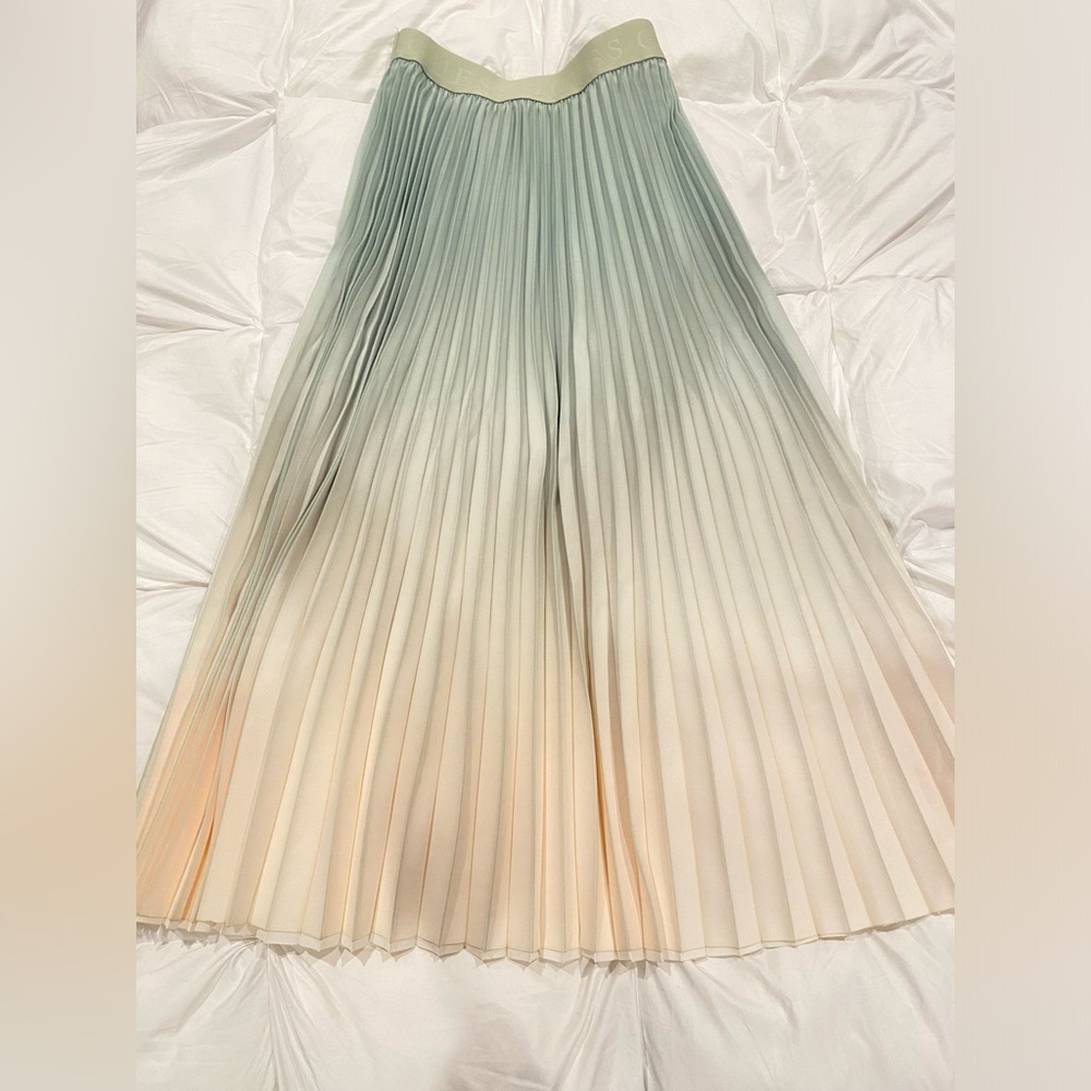 Sage green and beige ombré pleated skirt